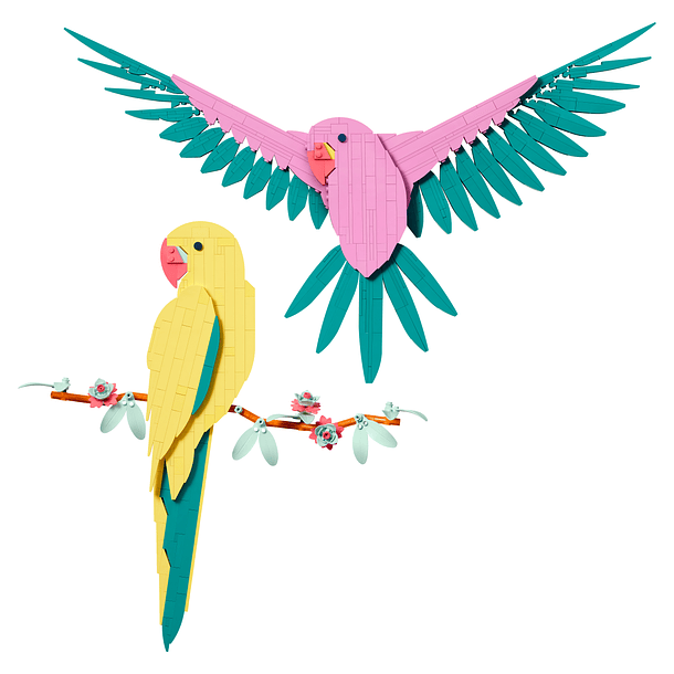 A Coleção de Fauna – Araras 2