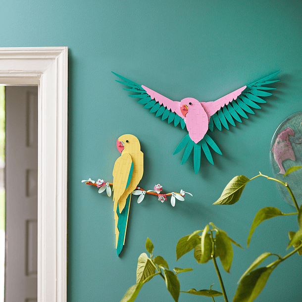 A Coleção de Fauna – Araras 5