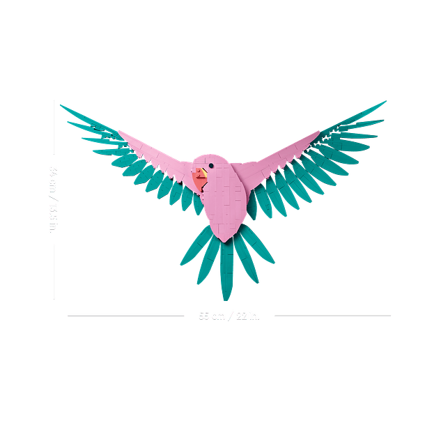 A Coleção de Fauna – Araras 3