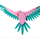 A Coleção de Fauna – Araras 3