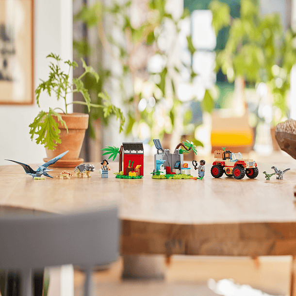  Centro de Resgate de Dinossauros Bebés 3