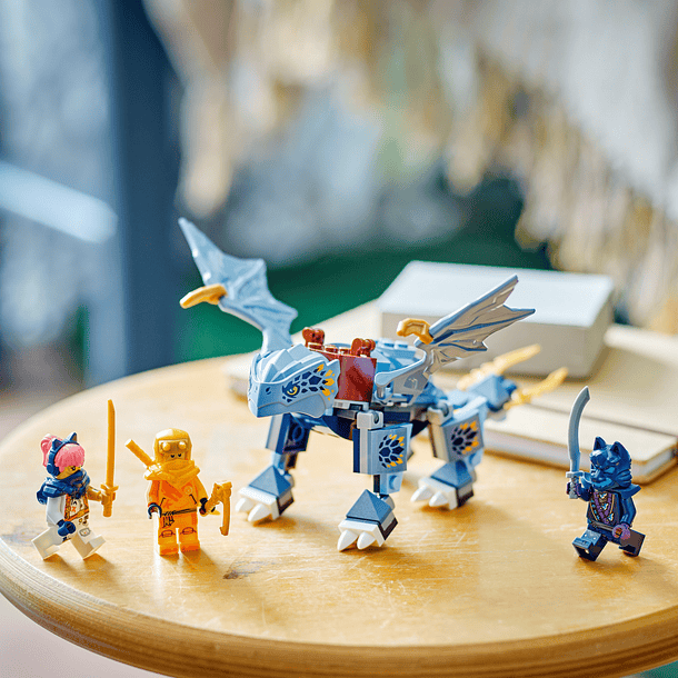 Jovem Dragão Riyu 5