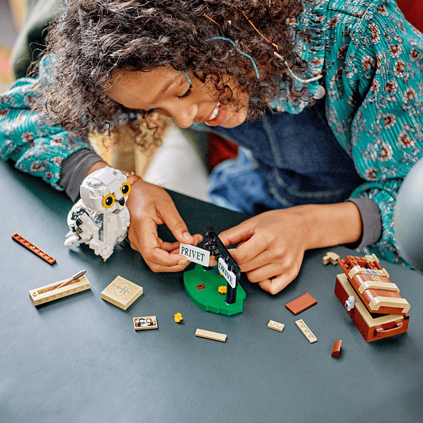 Hedwig no 4 Privet Drive 7