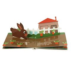 Pop-Ups Divertidos - Animais