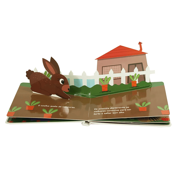 Pop-Ups Divertidos - Animais 2