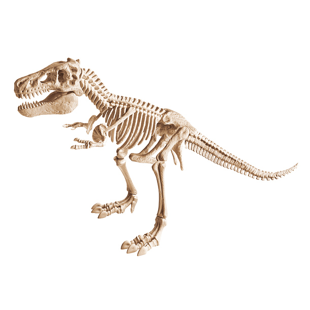 Kit Arqueologia - T-Rex Gigante 3