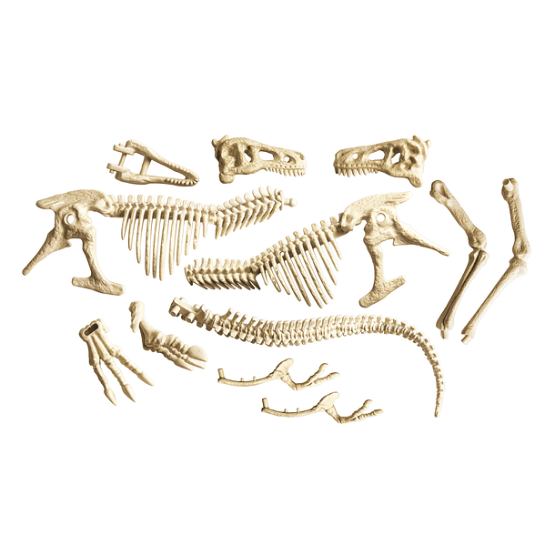 Kit Arqueologia - T-Rex Gigante 4
