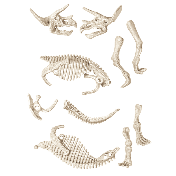 Kit Arqueologia - Triceratops 3