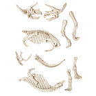 Kit Arqueologia - Triceratops 3