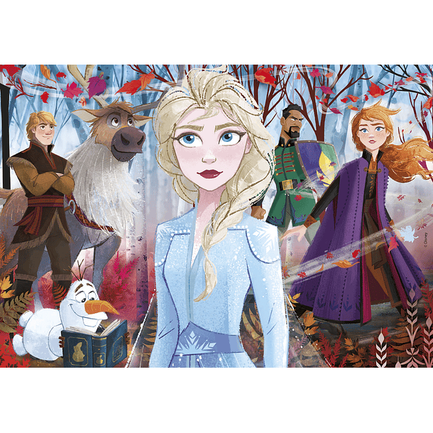 Puzzle 2x20 pçs - Frozen 2