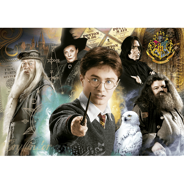 Puzzle 500 pçs - Harry Potter 2