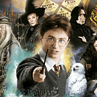 Puzzle 500 pçs - Harry Potter 2