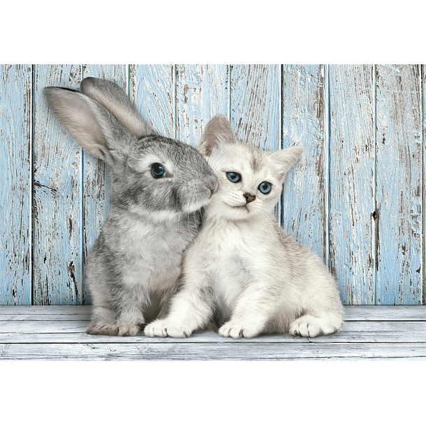 Puzzle 500 pçs - Cat & Bunny 2
