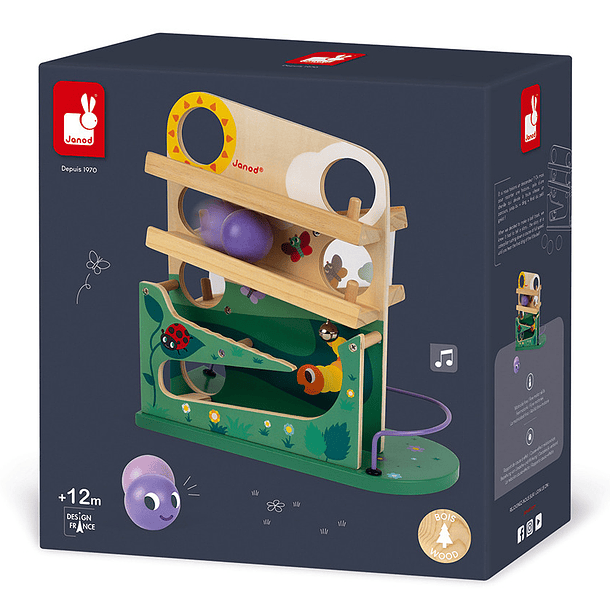 Circuito da Lagarta 1