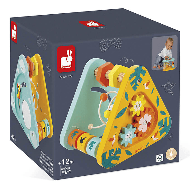 Triângulo Multi-Atividades 1