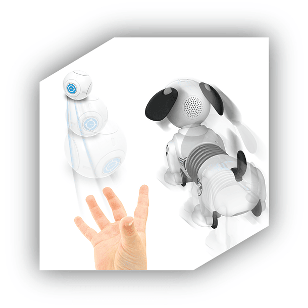 Ycoo - Robo Dackel JR. 5