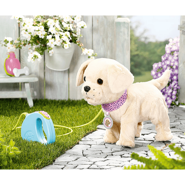 Baby Born - My Lucky Dog 6