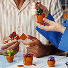 Plantas em Miniatura 10