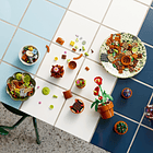 Plantas em Miniatura 5