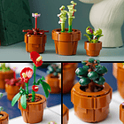 Plantas em Miniatura 8