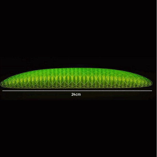 Morf Worm - Brilha no Escuro 10