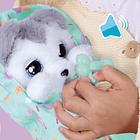 Baby Paws - Husky 4