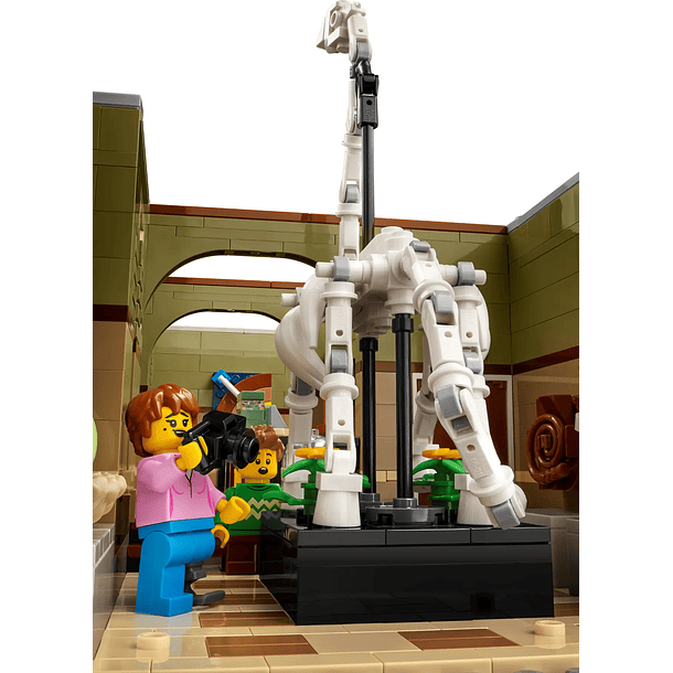 Museu de História Natural 6