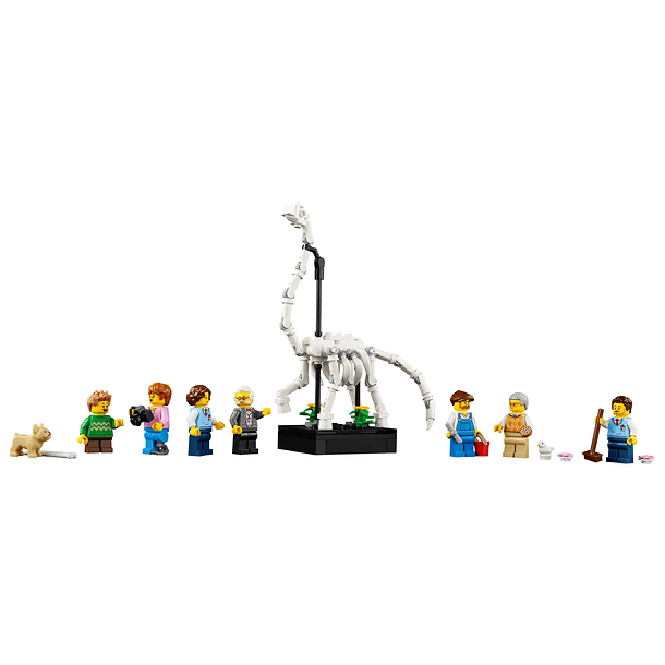 Museu de História Natural 5