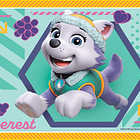 Puzzle 4 em 1 - Patrulha Pata 4