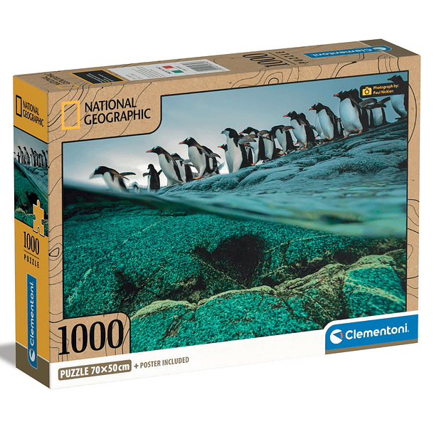 Puzzle 1000 pçs - National Geographic 1