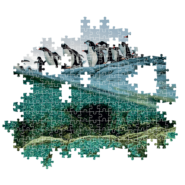 Puzzle 1000 pçs - National Geographic 3