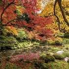 Puzzle 1500 pçs - Autumn Park 2