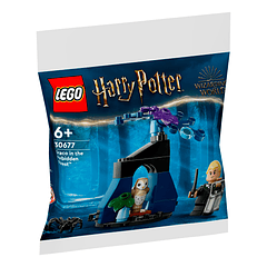 Draco na Floresta Proibida