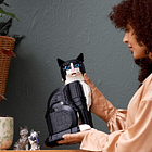 Gato Preto e Branco 8