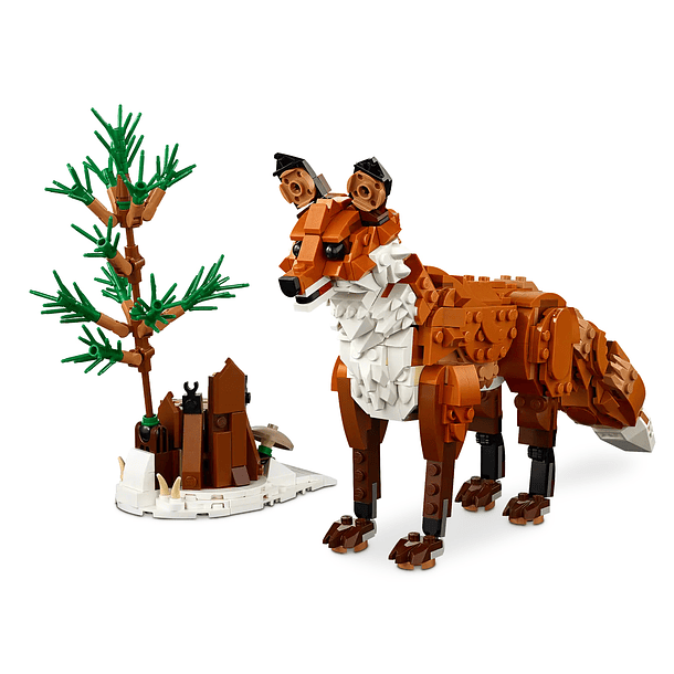 Animais da Floresta: Raposa Vermelha 2