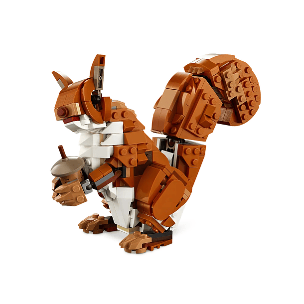 Animais da Floresta: Raposa Vermelha 4