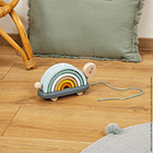 Tartaruga Arco-Íris Sweet Cocoon 7