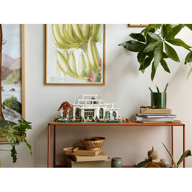 O Jardim Botânico 8