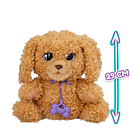 Baby Paws - Love & Care Labradoodle 3