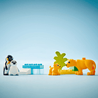 Famílias de Animais Selvagens: Pinguins e Leões 3