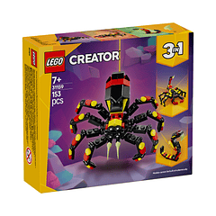 Animais Selvagens: Aranha Surpreendente