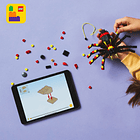 Animais Selvagens: Aranha Surpreendente 5