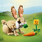 Coelhinho Adorável 4