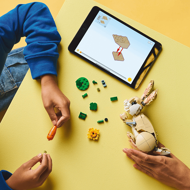 Coelhinho Adorável 7