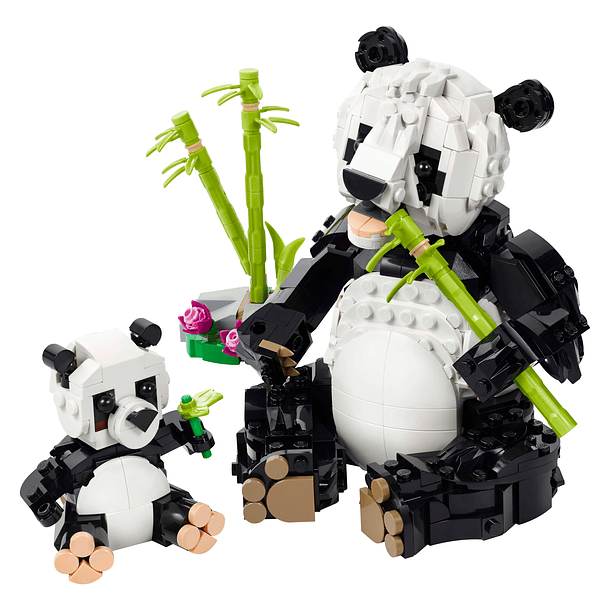 Animais Selvagens: Família de Pandas 2