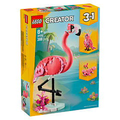 Animais Selvagens: Flamingo Cor-de-Rosa