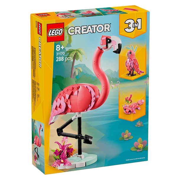 Animais Selvagens: Flamingo Cor-de-Rosa 1