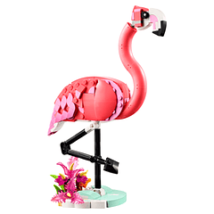 Animais Selvagens: Flamingo Cor-de-Rosa