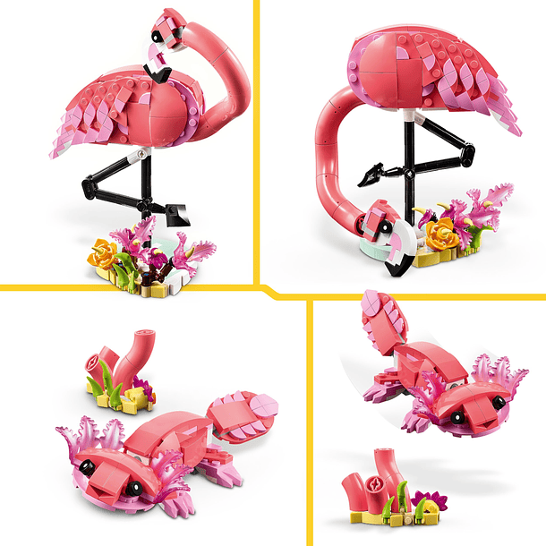 Animais Selvagens: Flamingo Cor-de-Rosa 3