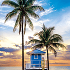 Puzzle 500 pçs - Miami Beach Florida 2